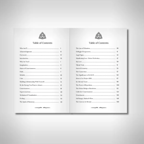 369 Journal - The Key to the Universe - Image 7