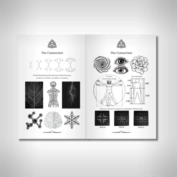 369 Journal - The Key to the Universe - Image 6